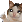 :sadthumbsup: