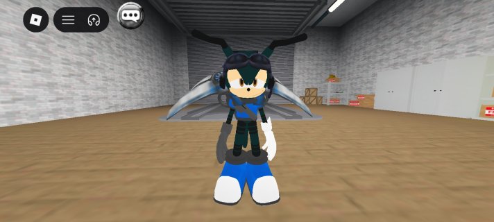 Screenshot_20251122_162046_Roblox.jpg
