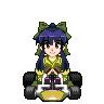 10a Clover Patch.gif