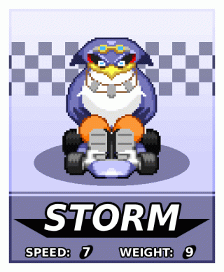 StormCharCard.gif