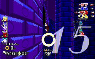 ringracers0413.gif