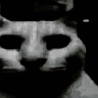 shadow-cat-very-sad.png