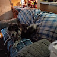 leewomackpepper231
