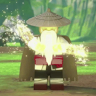 Crunchynoodles120