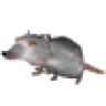 GodKingKelso